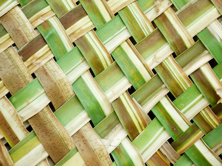 Woven green coconut leaves textureの写真素材