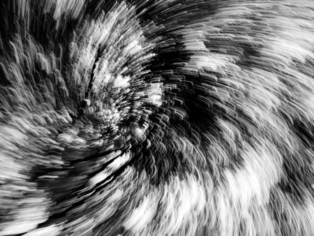Abstract zoom motion blur background of the lone tree in black and white