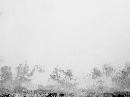 dirt white wall textureの写真素材