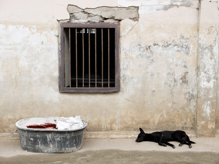 Old home damaged wallの写真素材