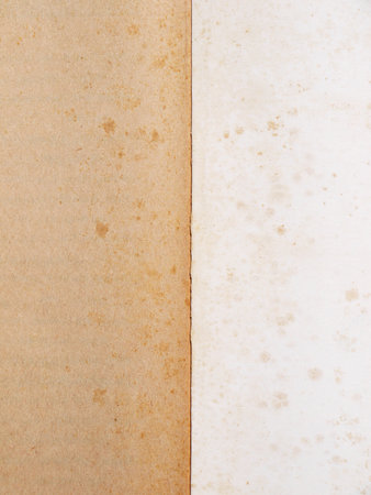 vintage paper with space for text or imageの写真素材