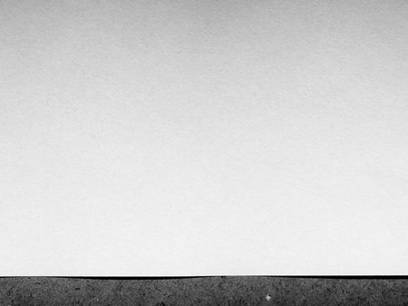 white paper backgroundの写真素材