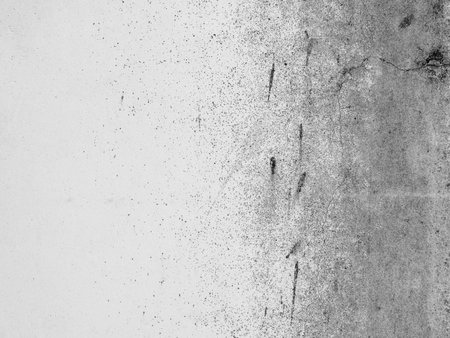 Cracks on the walls moldyの写真素材