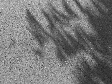 shadow on asphalt road textureの写真素材