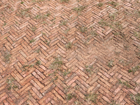 The brick path with grassの写真素材