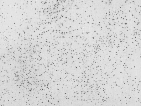 dirty white fabric cloth textureの写真素材