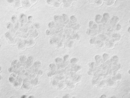 Handmade paper textureの写真素材