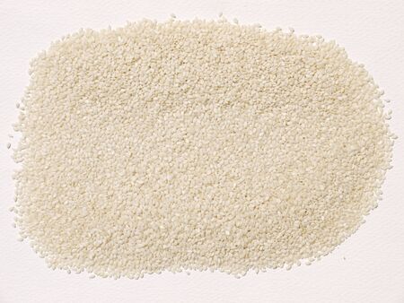 Pile of dried white Sesame Seedの写真素材