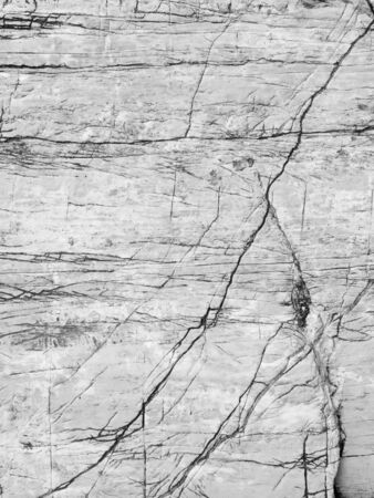 Arrayの写真素材