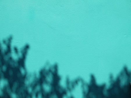 green wall with shadowの写真素材