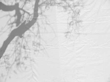 Shadow tree on canvasの写真素材