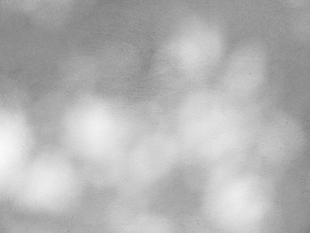 shadow of the leaves on a white wallの写真素材