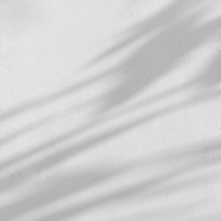 Palm leaf shadows on a white wallの写真素材