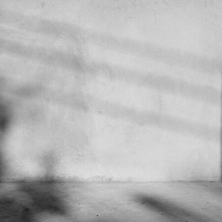 shadow on wall street