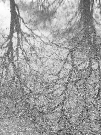 stone floor wet with water reflection tree