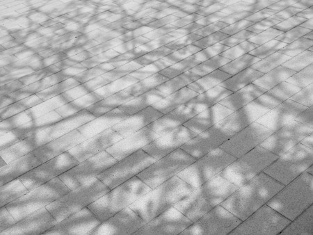 Tree shadow on tile floorの写真素材