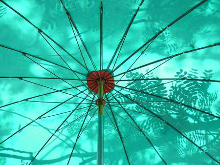 tree shadoe on green umbrellaの写真素材