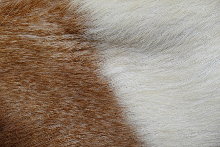 macro goat hair