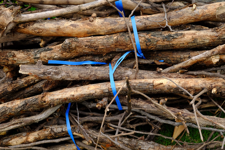 Pile of tree branches compositionの写真素材