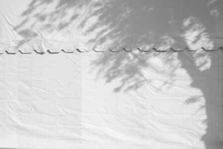 Shadow tree on canvasの写真素材