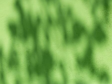 shadow leaf on green wall