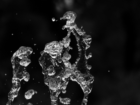 Water splash on a black backgroundの写真素材