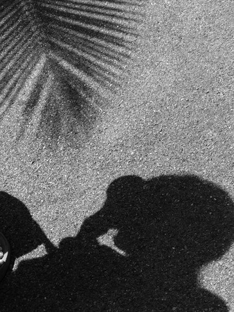 shadow on asphalt road