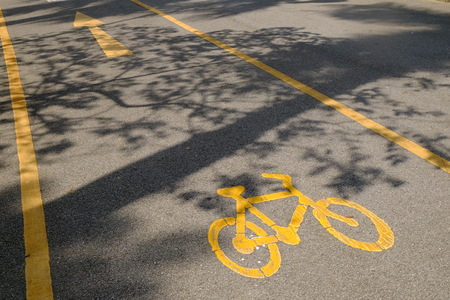 Bicycle Lanes in Park with tree shadowの写真素材