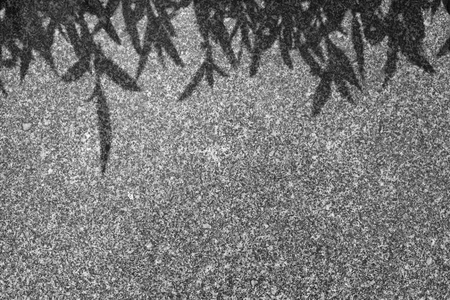 shadow of the leaves on a stone wall