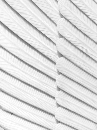 Texture of white feather stuccoの写真素材