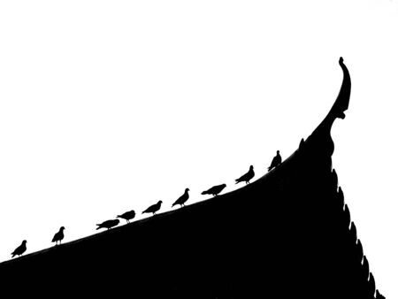 Silhouette bird on the temple roofの写真素材