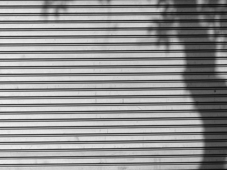 Shadow tree on a metal door
