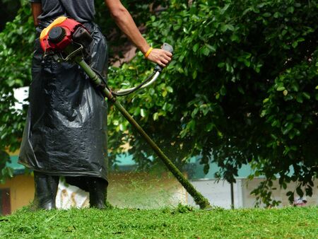 The worker of a garden cuts off a grass