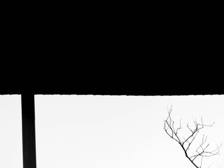 abstract black & white shaped building silhouette with dry treeの写真素材