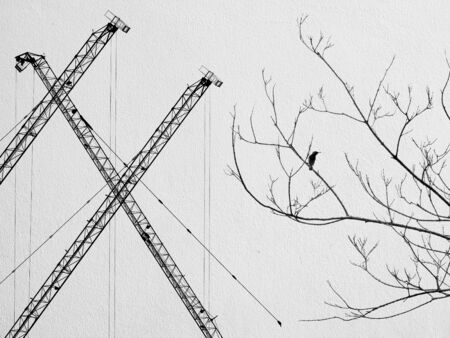 shape silhouette design on white wallの写真素材