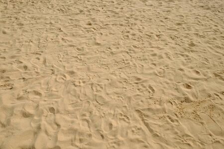 sea sand with footprints