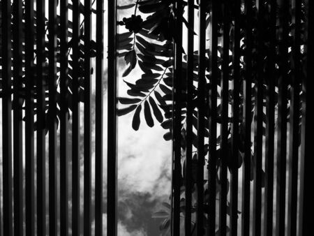 black and white interior aluminium ceiling with light and shadowの写真素材