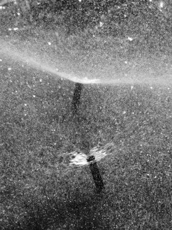 black and white Sprinkler watering grass lawn in gardenの写真素材