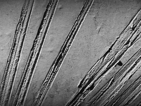 marks of palm leaves on the concrete backgroundの写真素材