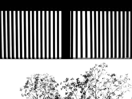 black and white structure steel ceiling pattern with treeの写真素材