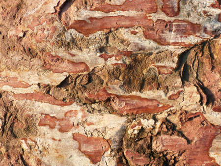 brown stone texture