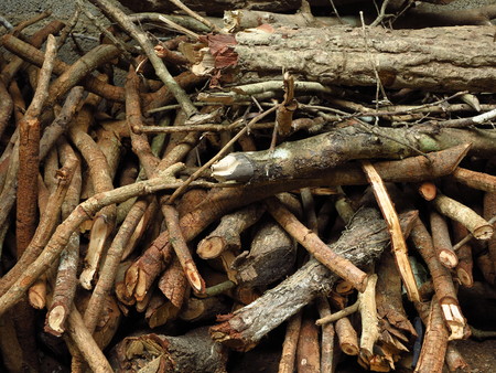 Pile of tree branches compositionの写真素材