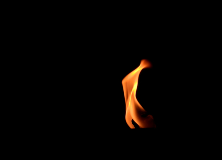Fire flames on a black background