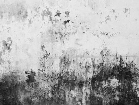 dirty white wall backgroundの写真素材