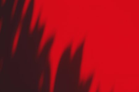 shadow of palm leaf on red wall backgroundの写真素材