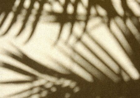 abstract shadow of palm leaf on tile wall background