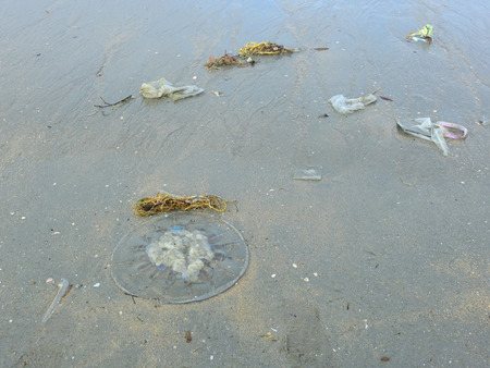 Very polluted beach with garbageの写真素材