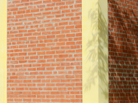 shadow of leaf tree on brick wall backgroundの写真素材