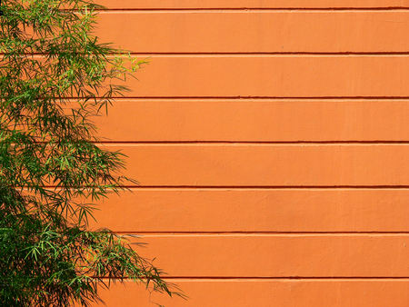 orange wall with bambooの写真素材