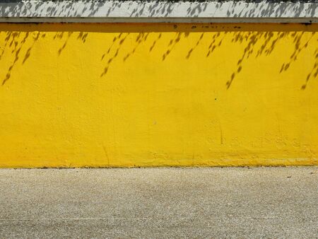 aged street wall with shadow of leafの写真素材
